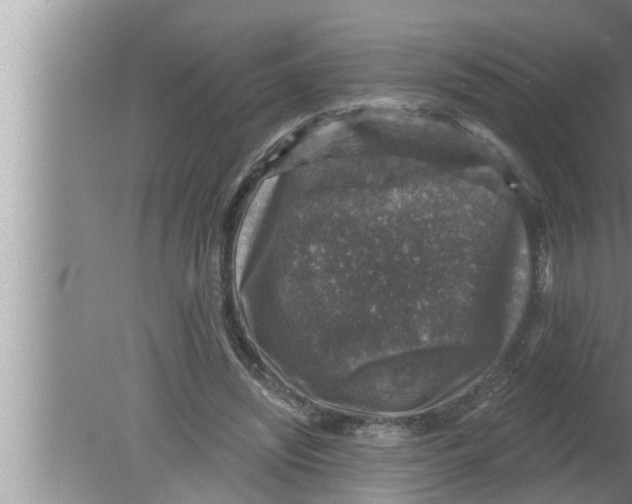 X0000080150444200612302132