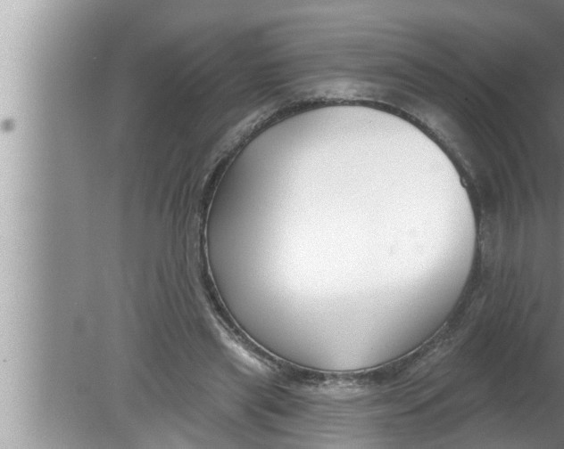 X0000080150445200612302132