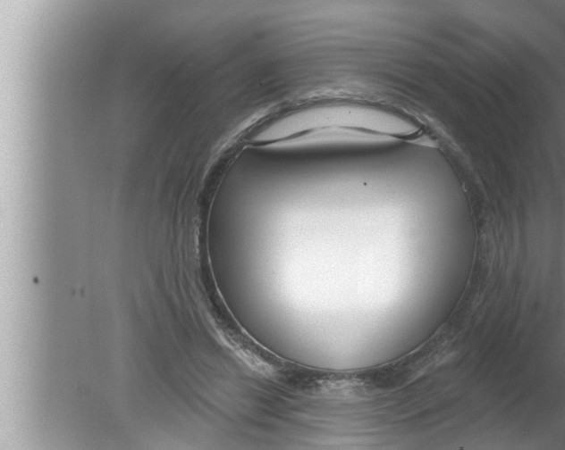 X0000080150446200612302132