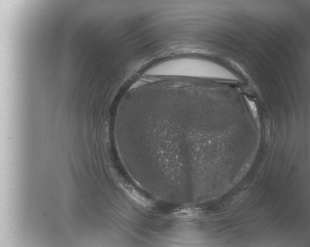 X0000080150447200612302132