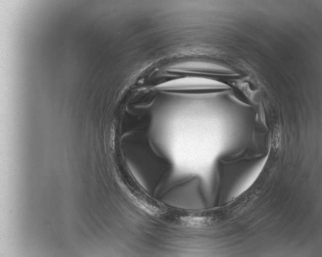 X0000080150448200612302132