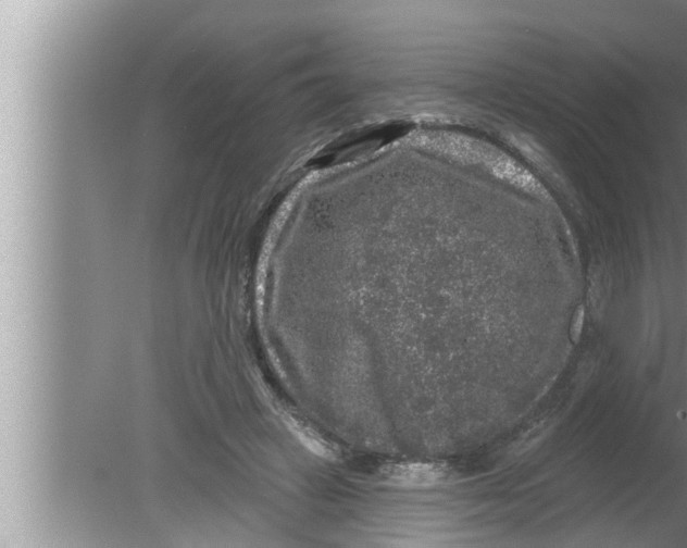 X0000080150449200612302132