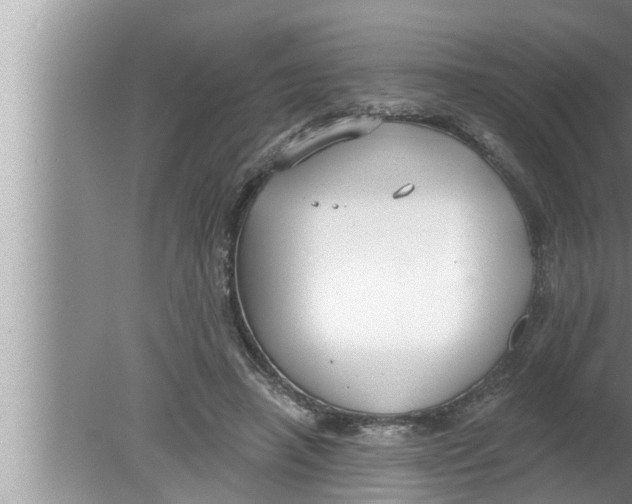 X0000080150450200612302132