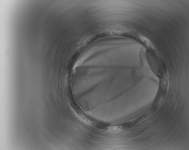 X0000080150451200612302132