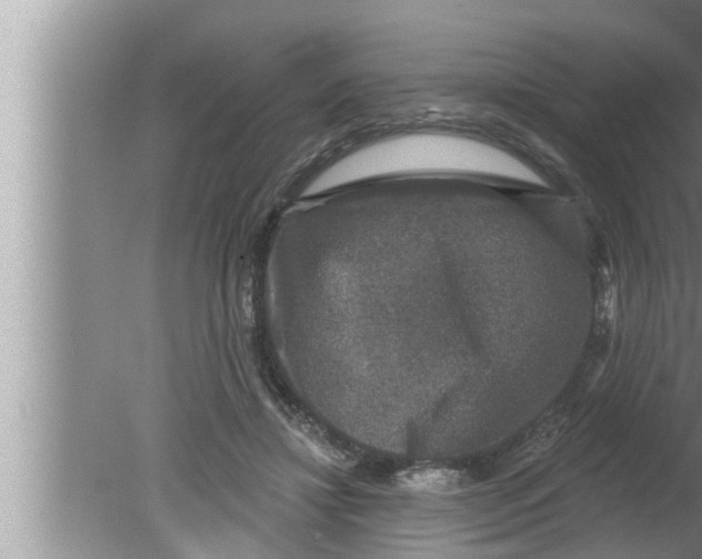 X0000080150452200612302132