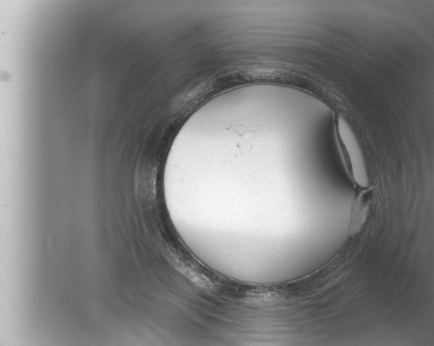 X0000080150454200612302132