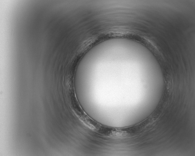 X0000080150455200612302132