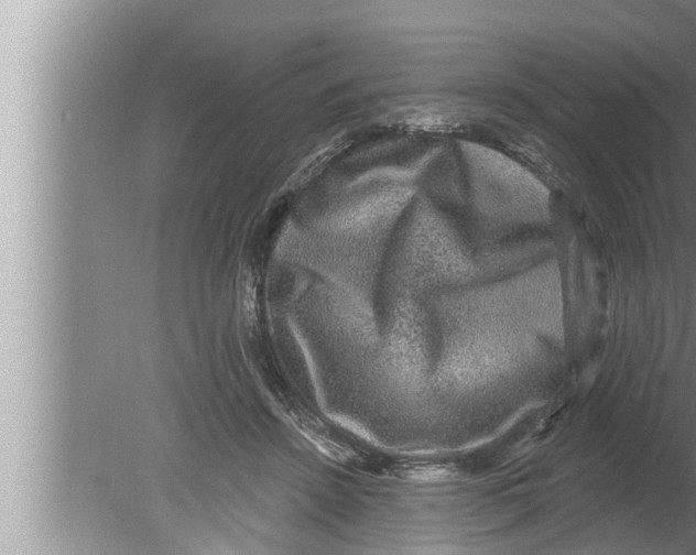 X0000080150456200612302132