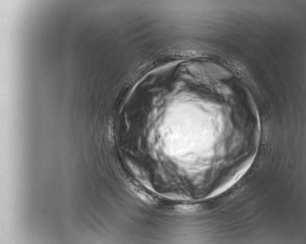 X0000080150457200612302132