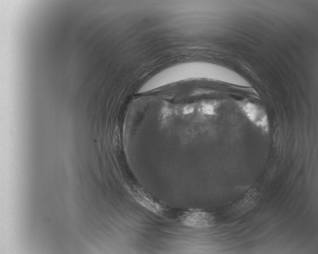 X0000080150459200612302132