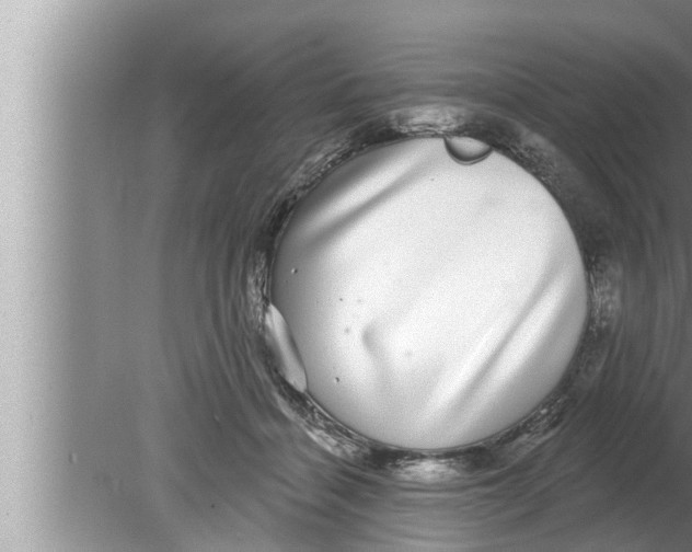 X0000080150460200612302132