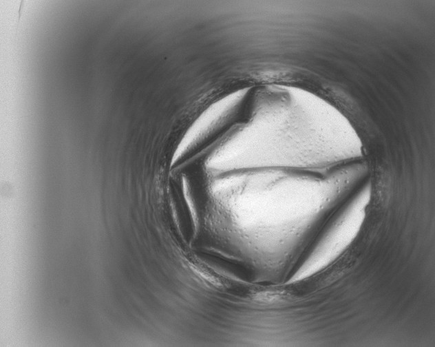 X0000080150461200612302132