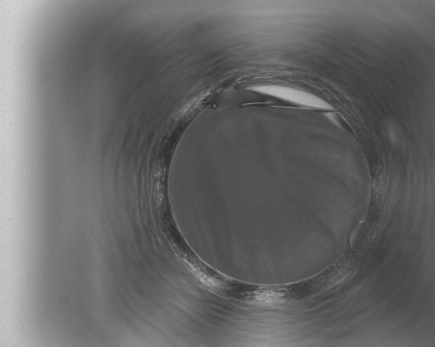 X0000080150462200612302132