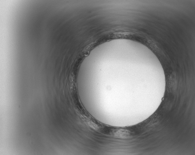 X0000080150463200612302132