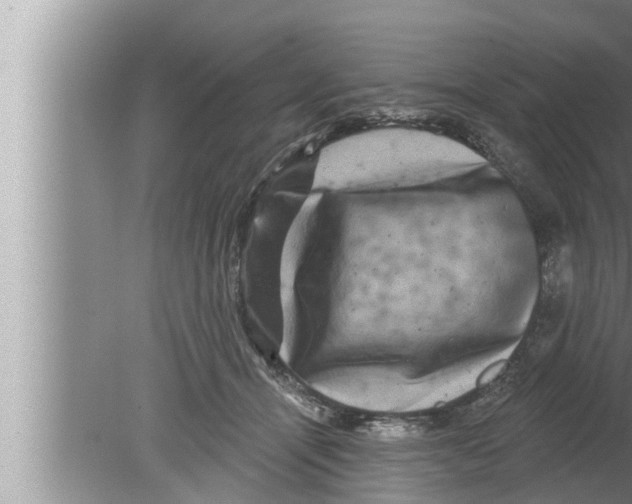 X0000080150464200612302132