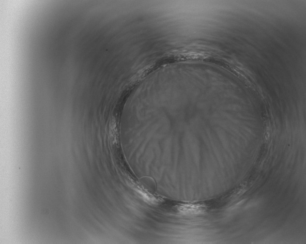 X0000080150465200612302132