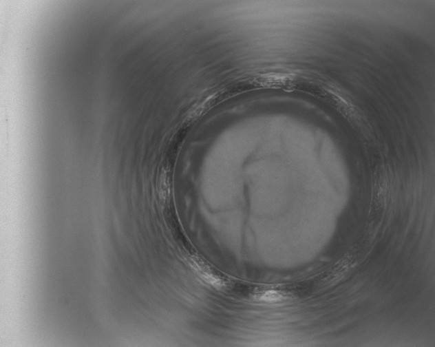 X0000080150467200612302132