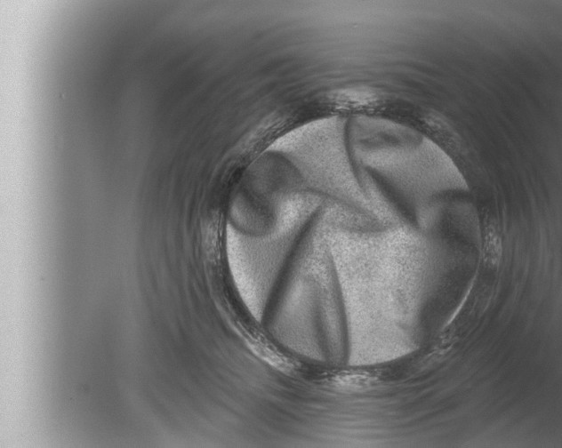 X0000080150468200612302132