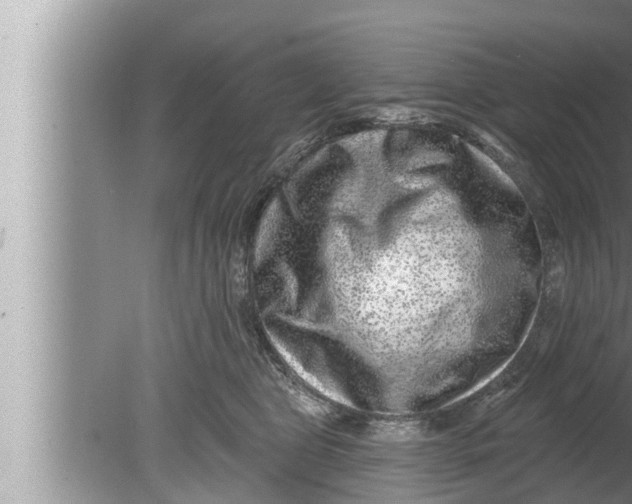 X0000080150469200612302132