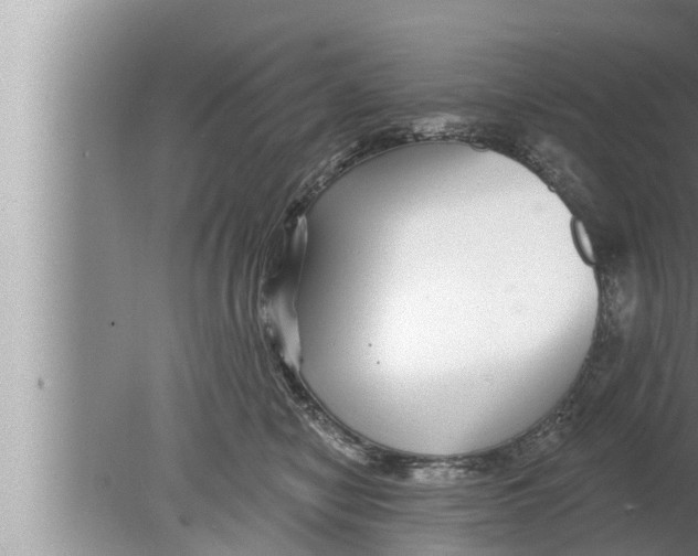 X0000080150470200612302132