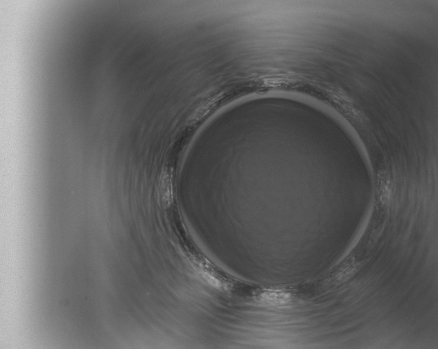 X0000080150471200612302132