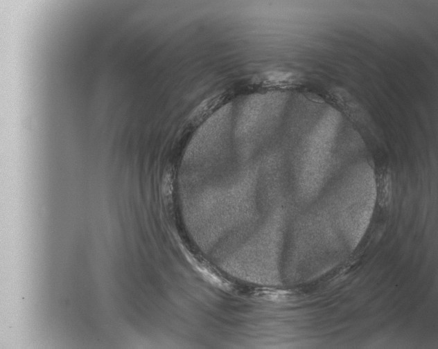 X0000080150472200612302132