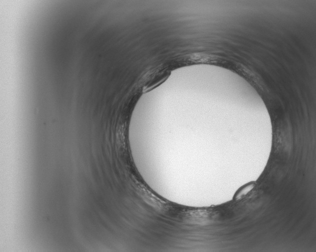 X0000080150473200612302132