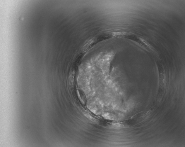 X0000080150475200612302132