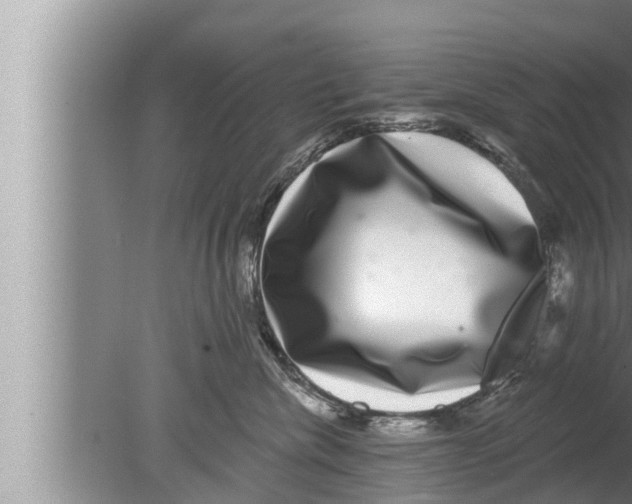 X0000080150476200612302132