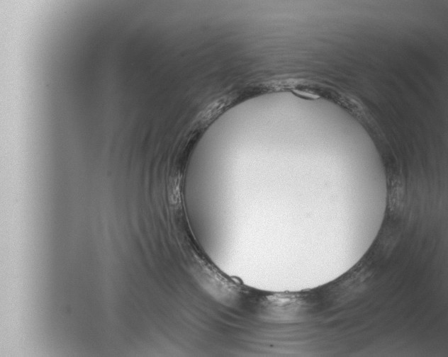 X0000080150477200612302132