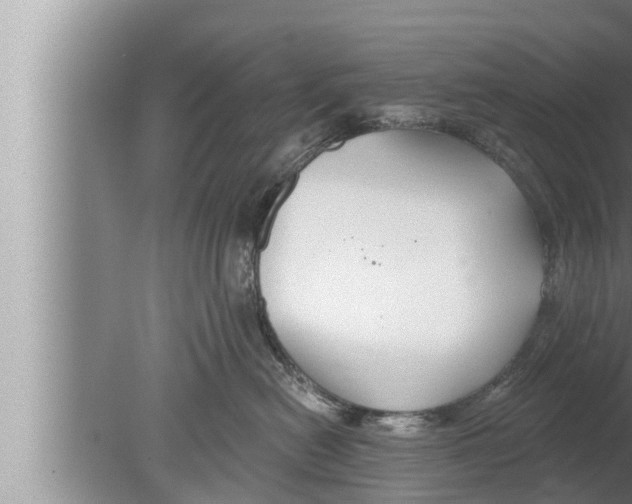 X0000080150478200612302132