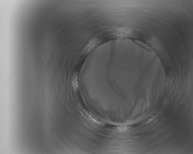 X0000080150479200612302132