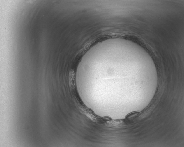 X0000080150480200612302132