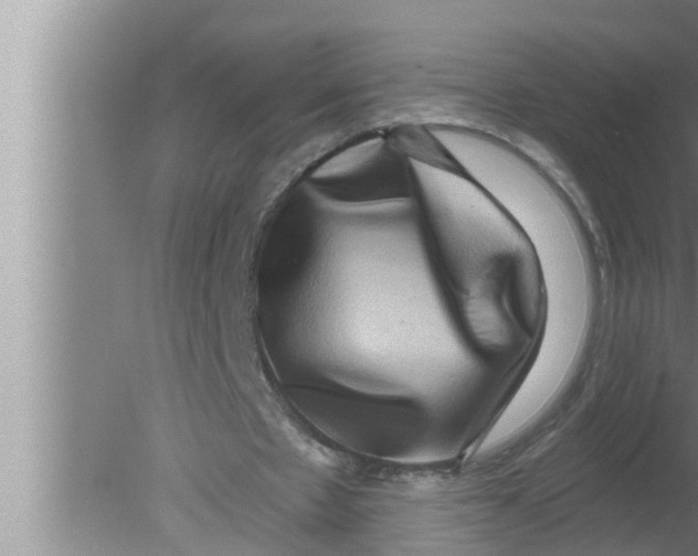 X0000080150481200612302131