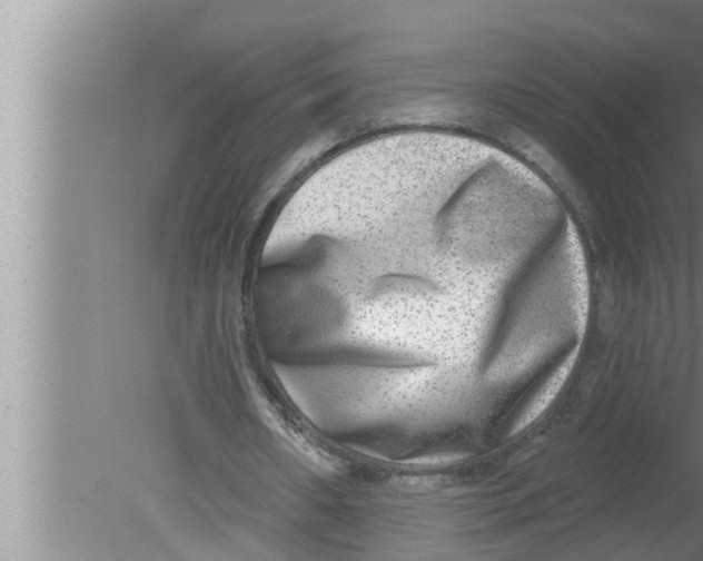 X0000080150482200612302131