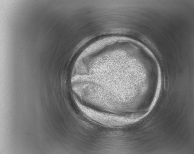 X0000080150483200612302131