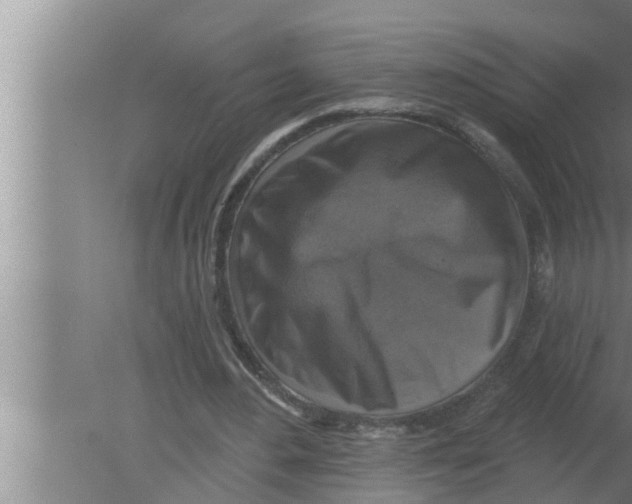 X0000080150484200612302131