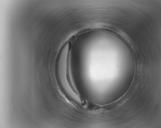 X0000080150485200612302131