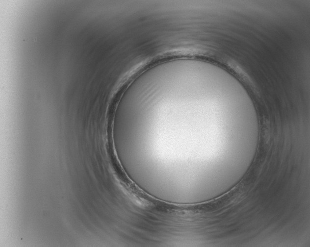 X0000080150486200612302131