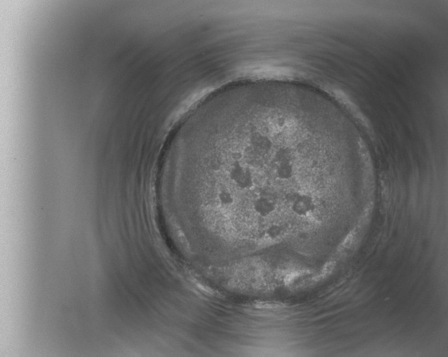 X0000080150487200612302131