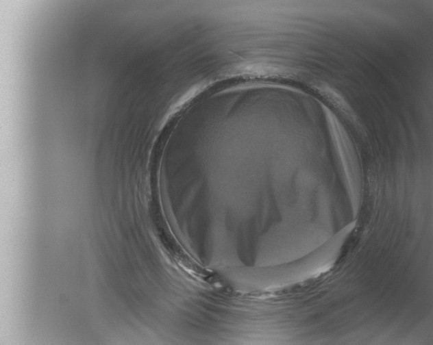 X0000080150488200612302131