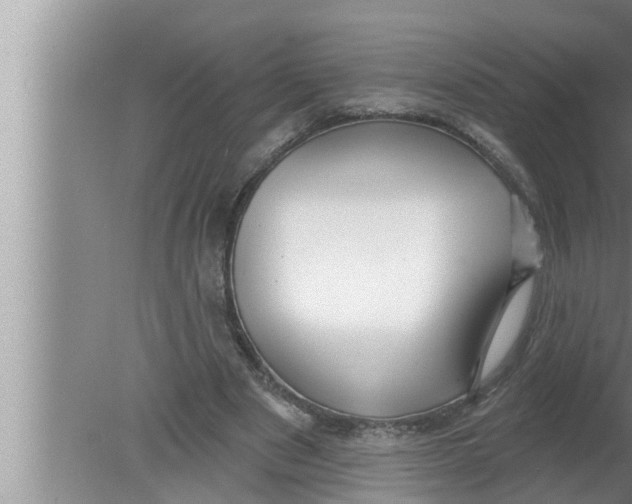 X0000080150489200612302131