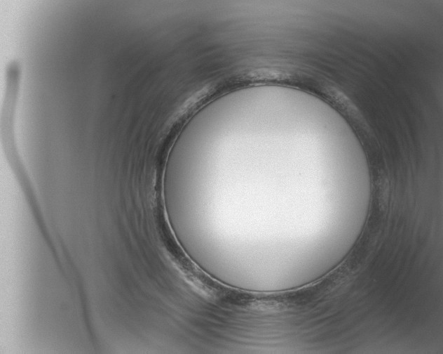 X0000080150490200612302131