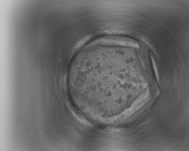 X0000080150491200612302131