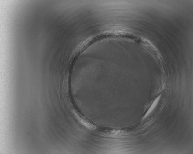 X0000080150493200612302131