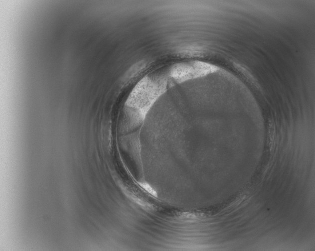 X0000080150494200612302131