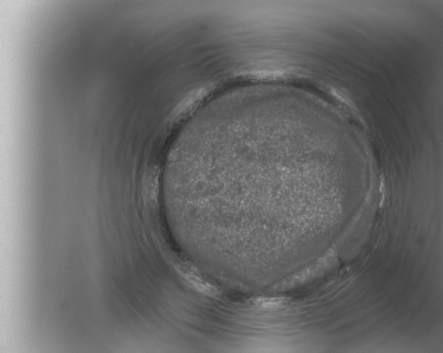 X0000080150495200612302131