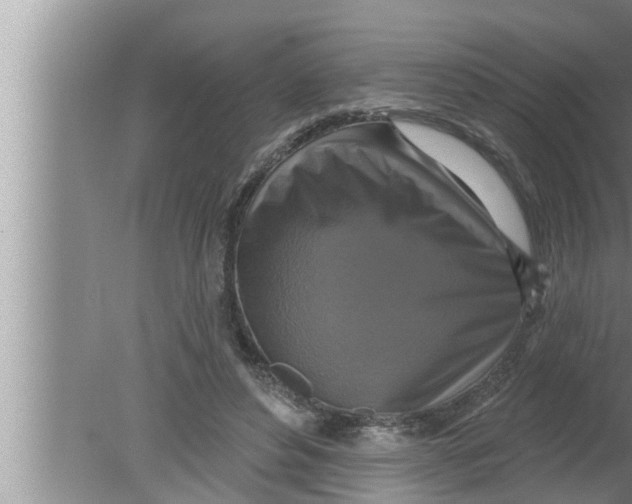 X0000080150496200612302131