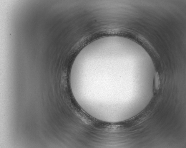 X0000080150497200612302131