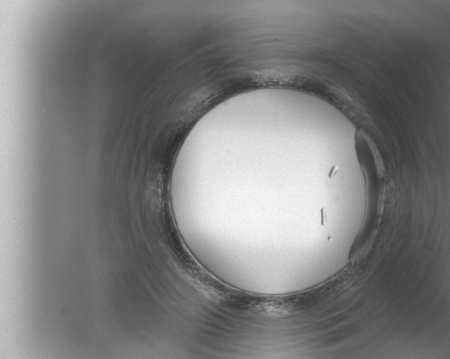 X0000080150498200612302131